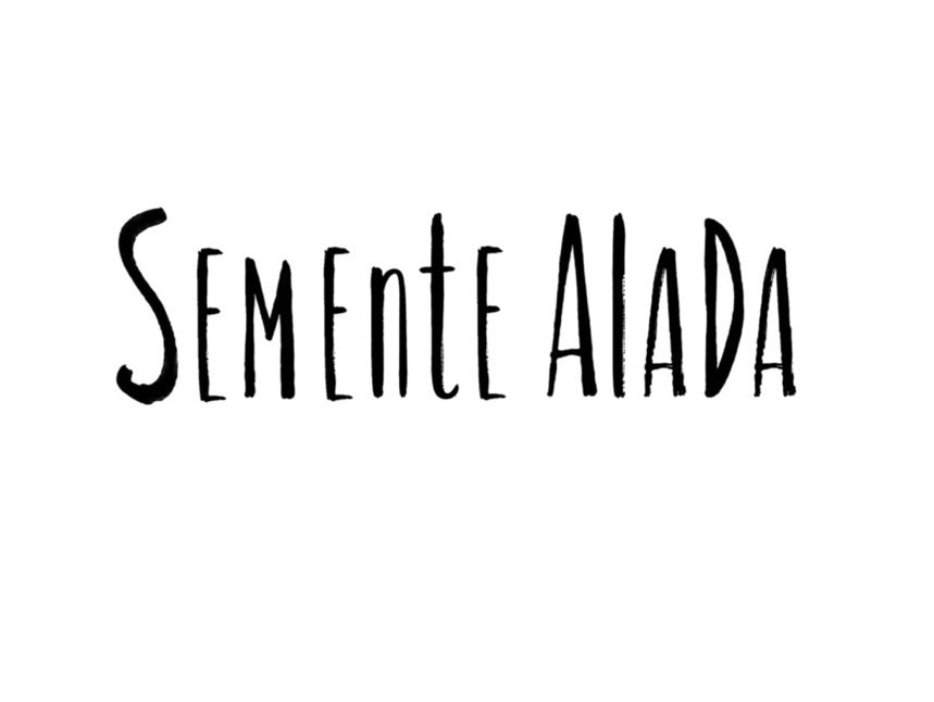 Exposição Semente Alada