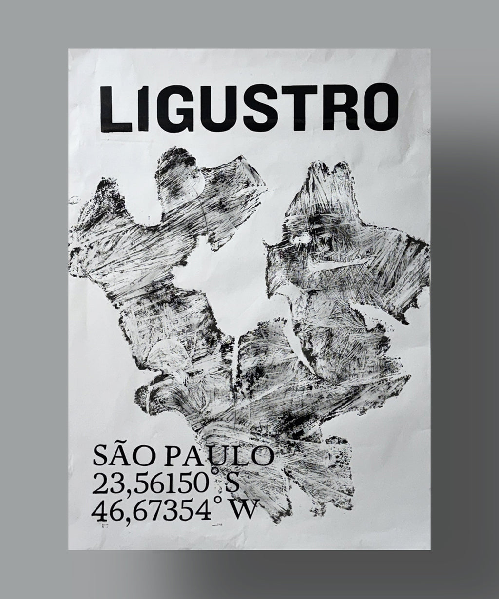 Ligustro - André Maciel