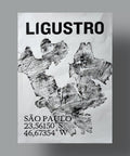 Ligustro - André Maciel