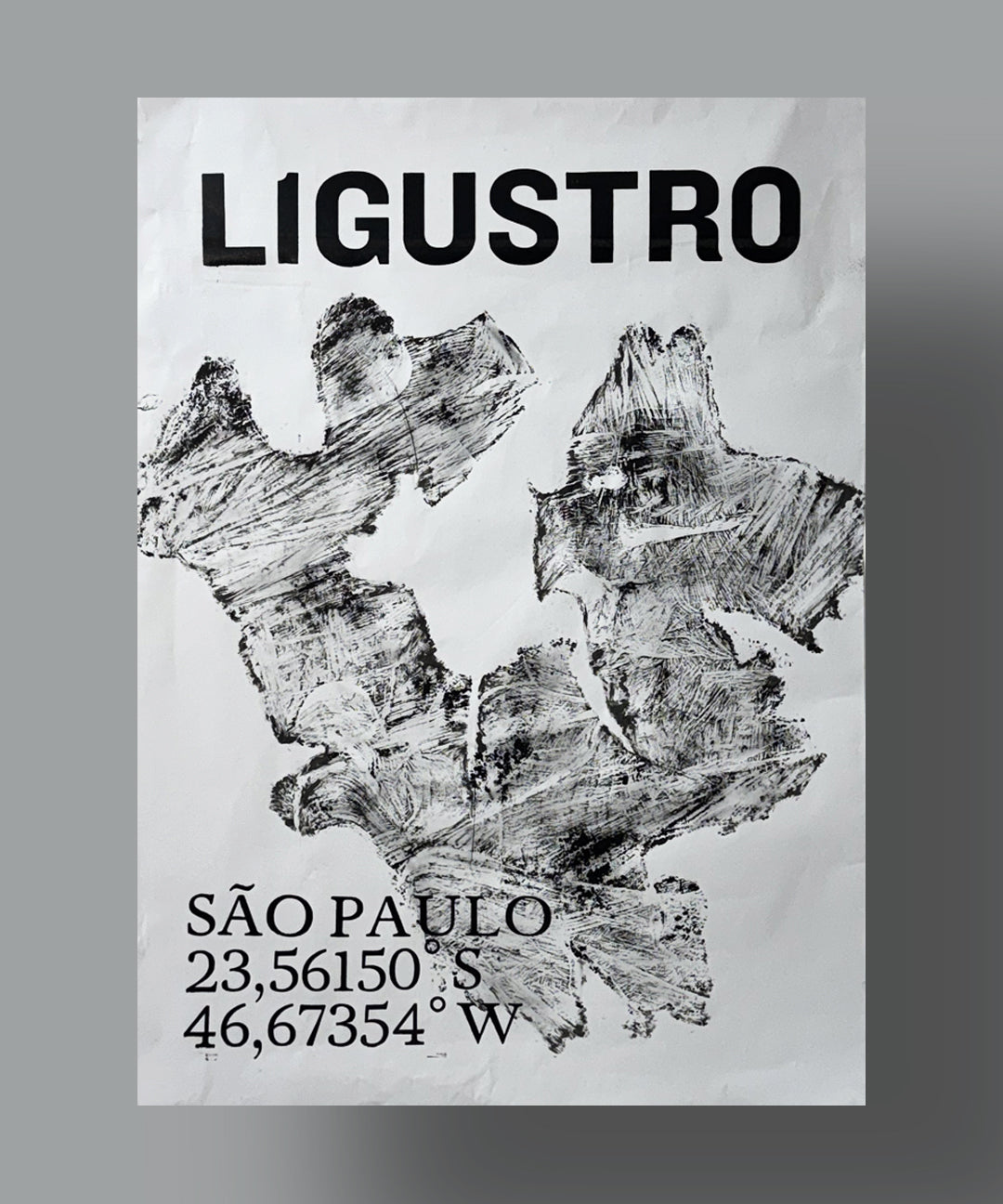 Ligustro - André Maciel