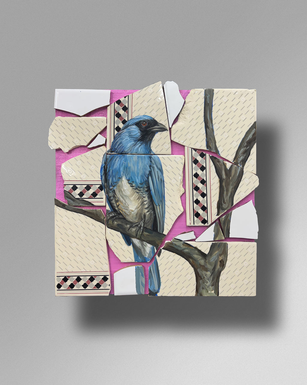 Saí-andorinha - André Maciel