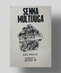 Senna-multijuga - André Maciel