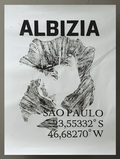 Albizia - André Maciel
