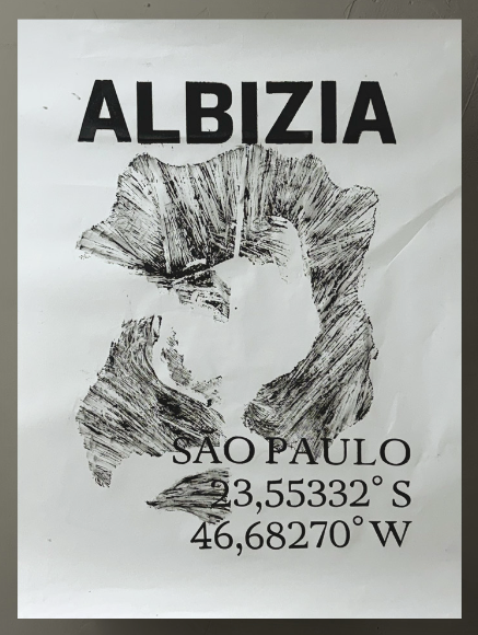 Albizia - André Maciel