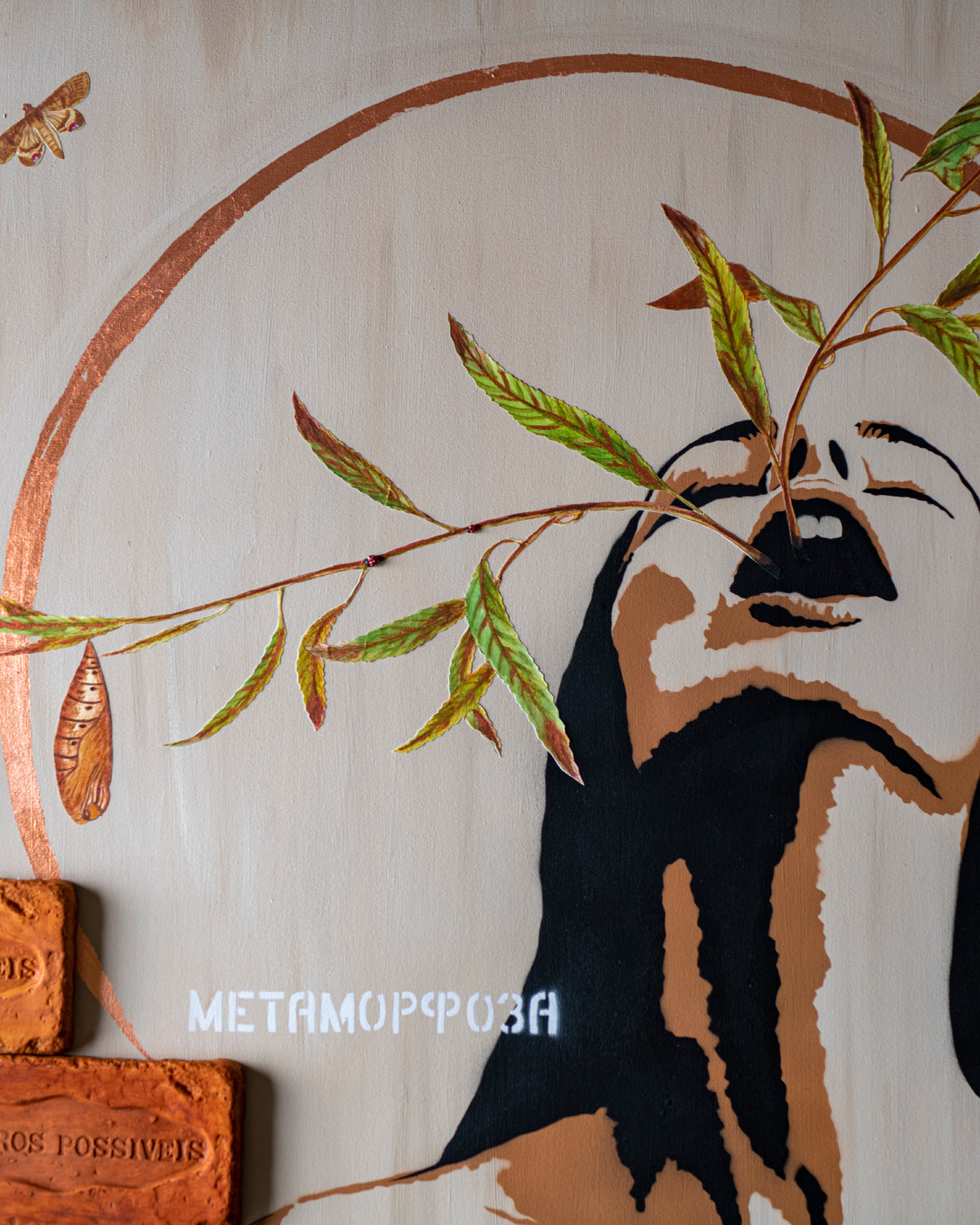 Metamorfose - Catharina Suleiman