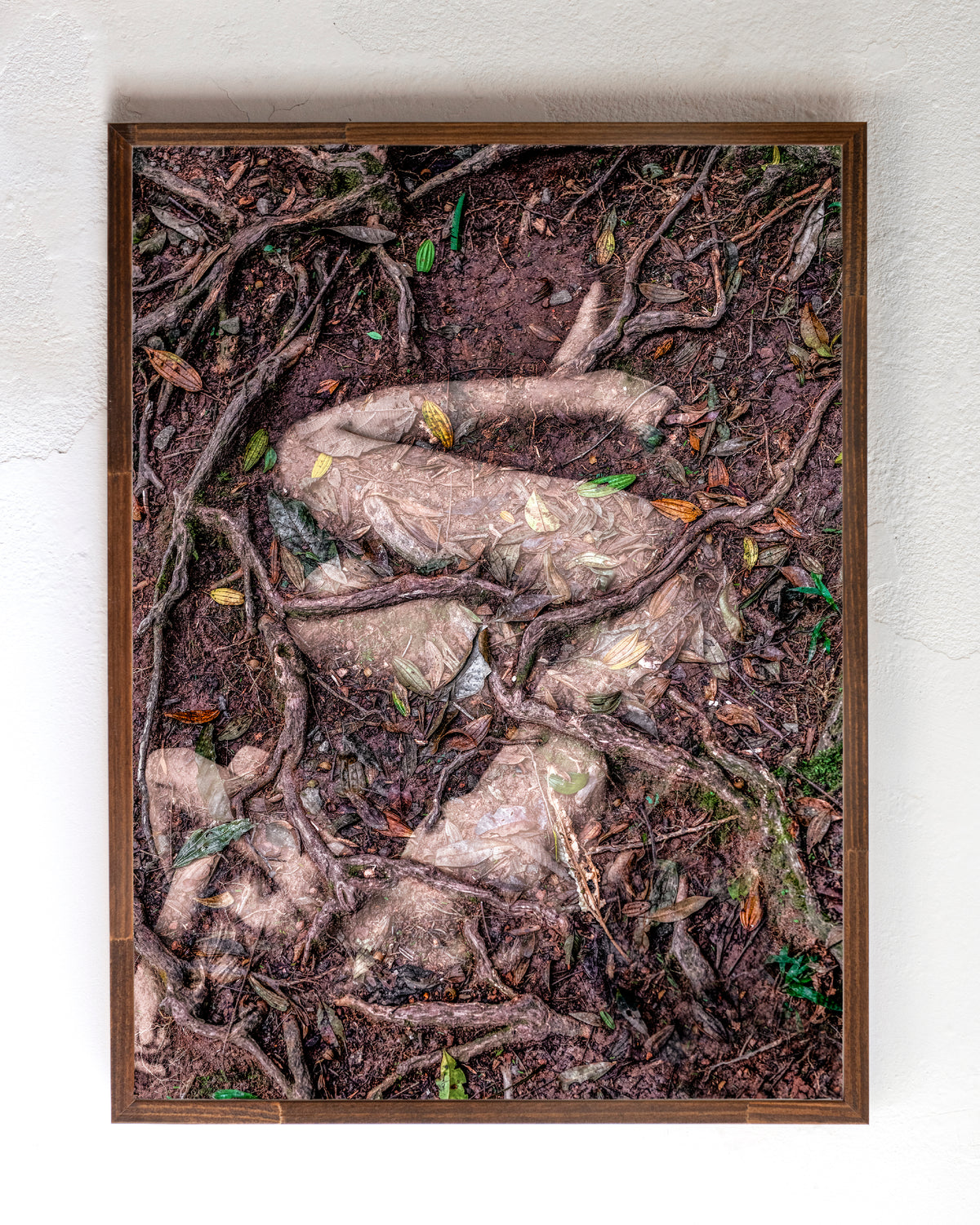 Retramar as veias - Catharina Suleiman