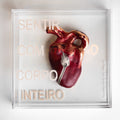 Corpo inteiro -  Catharina Suleiman