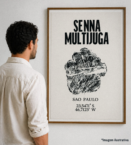 Senna-multijuga - André Maciel