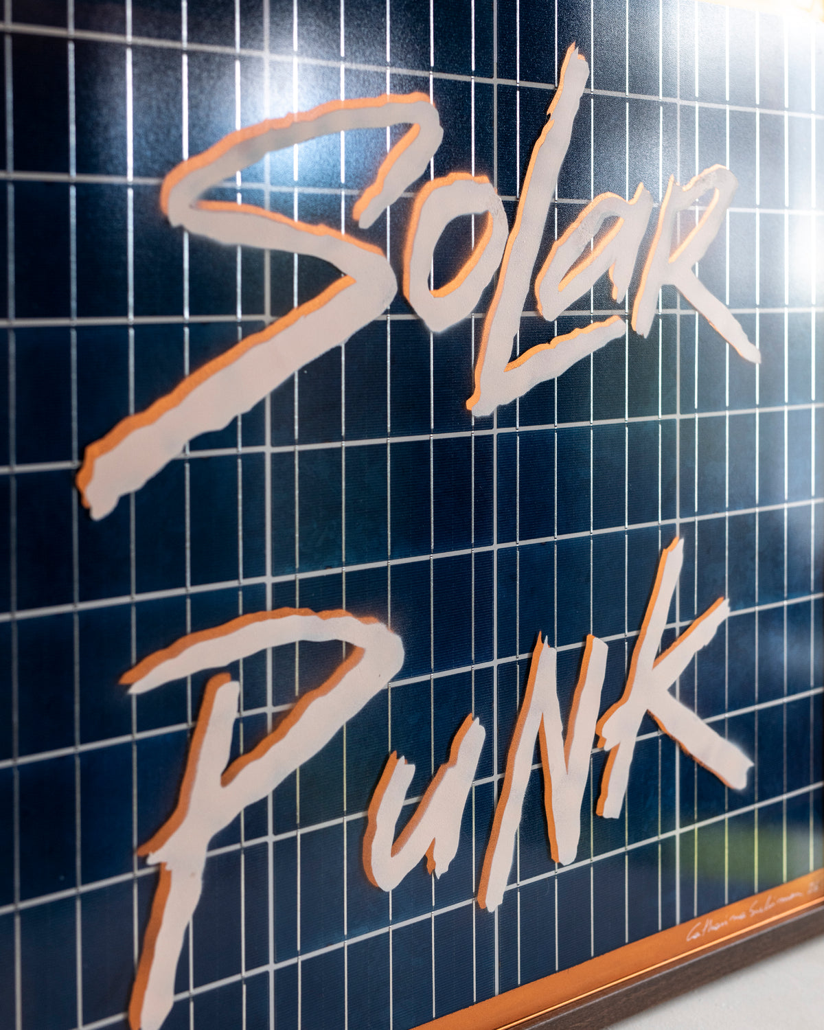 Solar Punk - Catharina Suleiman