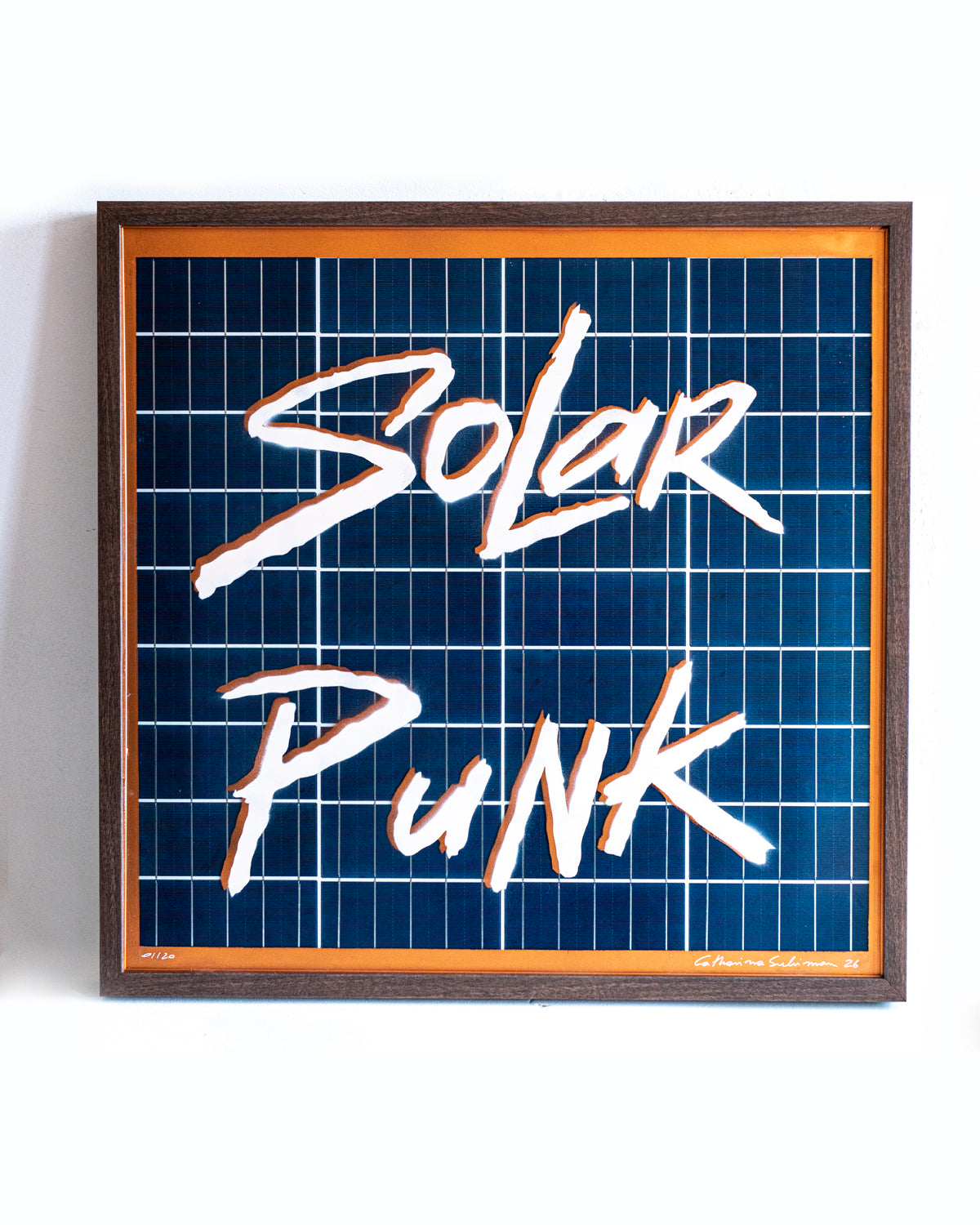 Solar Punk - Catharina Suleiman